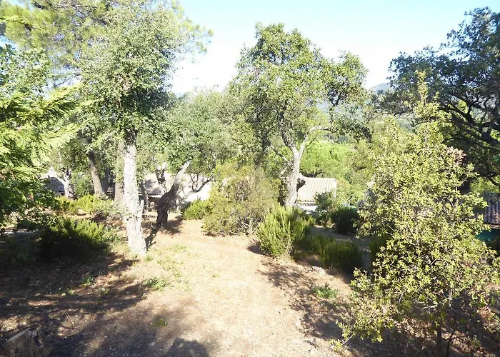 Hébergement de vacances Ferienhaus Bei St. Tropez Cogolin